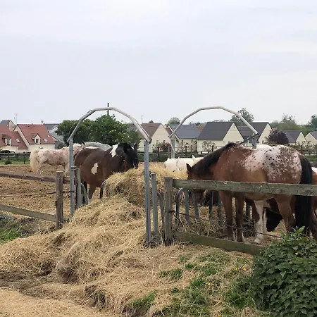 Ferienhaus La Au Bout Du Jardin / Sword *