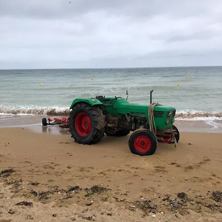 La Au Bout Du Jardin / Sword *