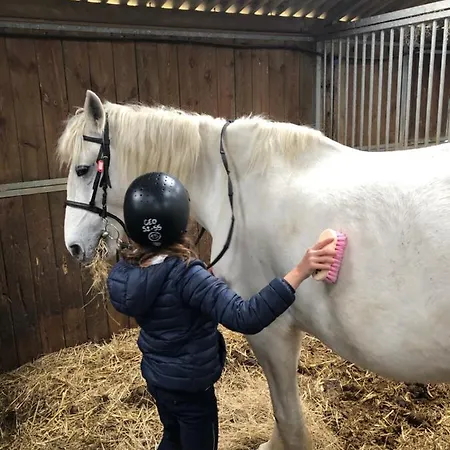 La Au Bout Du Jardin / Sword *