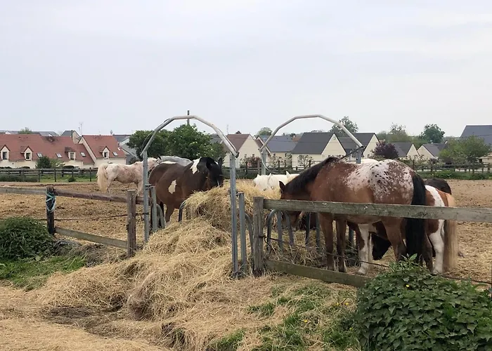 Holiday home La Au Bout Du Jardin / Sword *