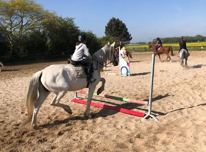 La Au Bout Du Jardin / Sword