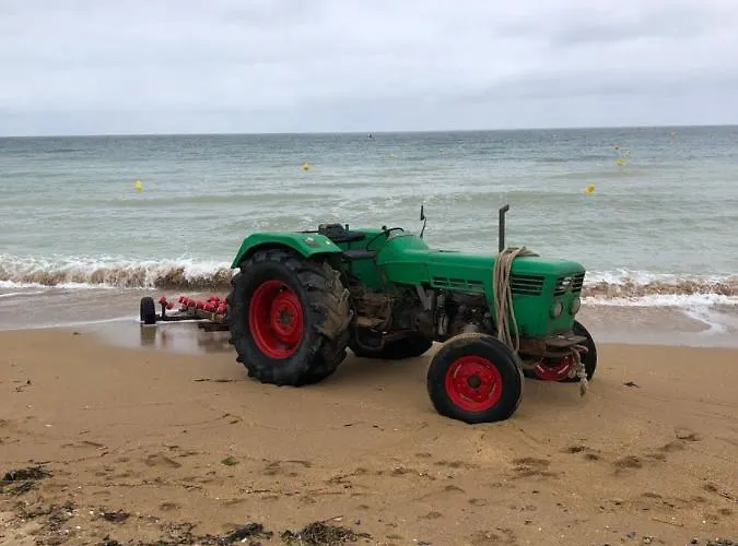 La Au Bout Du Jardin / Sword *