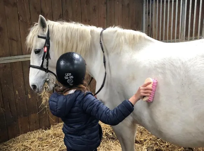 La Au Bout Du Jardin / Sword *