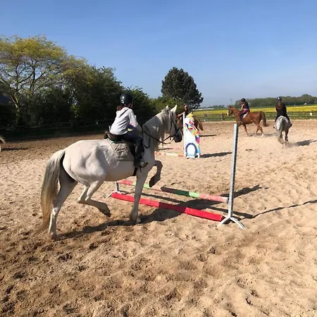 La Au Bout Du Jardin / Sword