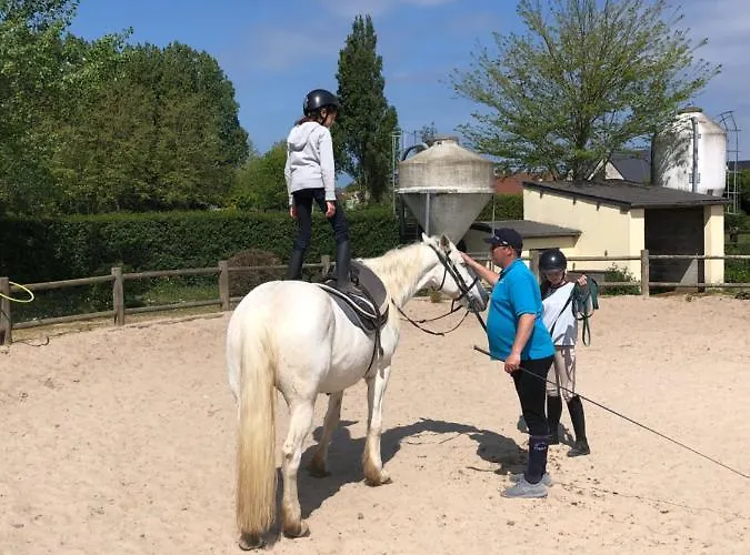 La Au Bout Du Jardin / Sword Hébergement de vacances *